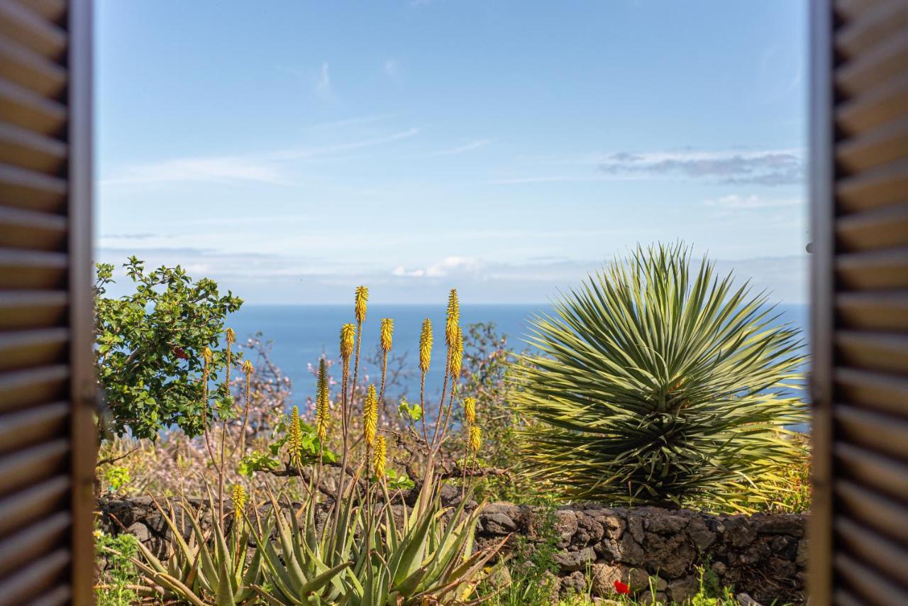 Casa Agave 1 Villa Frontera Eksteriør billede